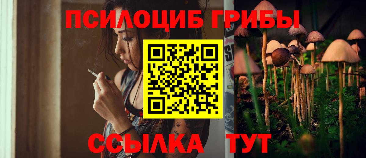 Владикавказ  Псилоцибиновые грибы Psilocybe  Вход с VPN 